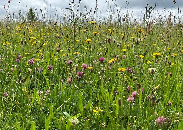 Lenneplaetze 3* 빈터베르크