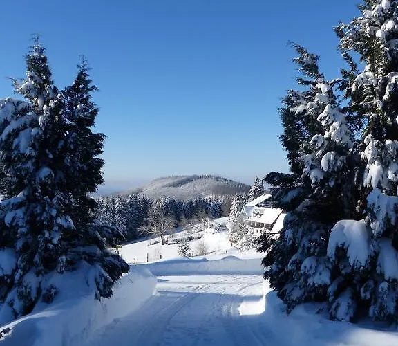 호텔 Lenneplaetze 3*